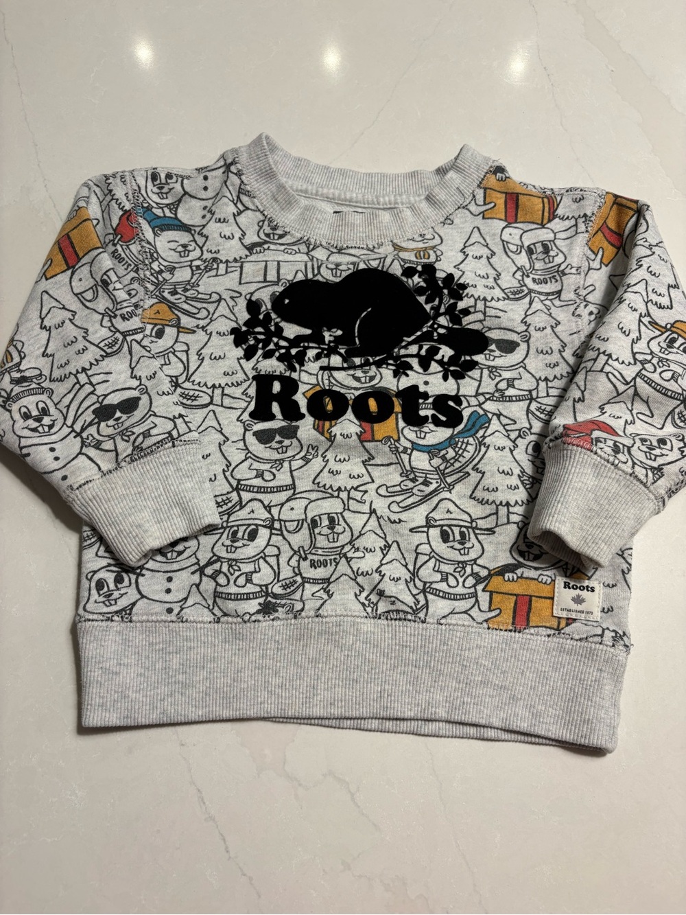 Roots Kids Grey Beaver Logo Crewneck Sweatshirt